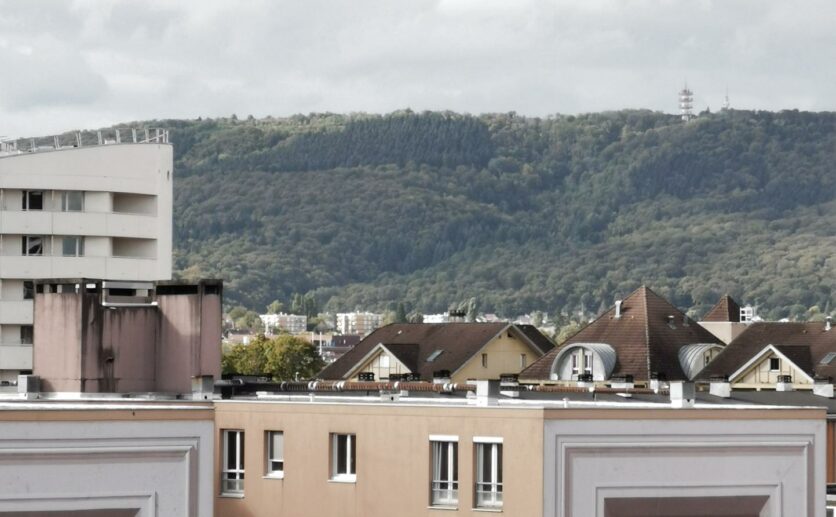 Belfort : Lot de deux appartements plein centre ville type T4 AVEC TERRASSE + un studio meublé de 21.35 au der