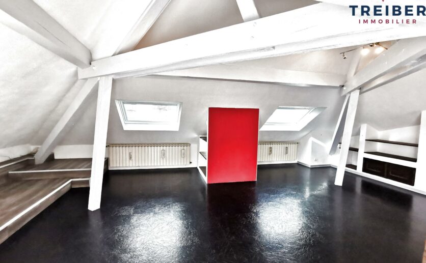 Belfort : Lot de deux appartements plein centre ville type T4 AVEC TERRASSE + un studio meublé de 21.35 au der