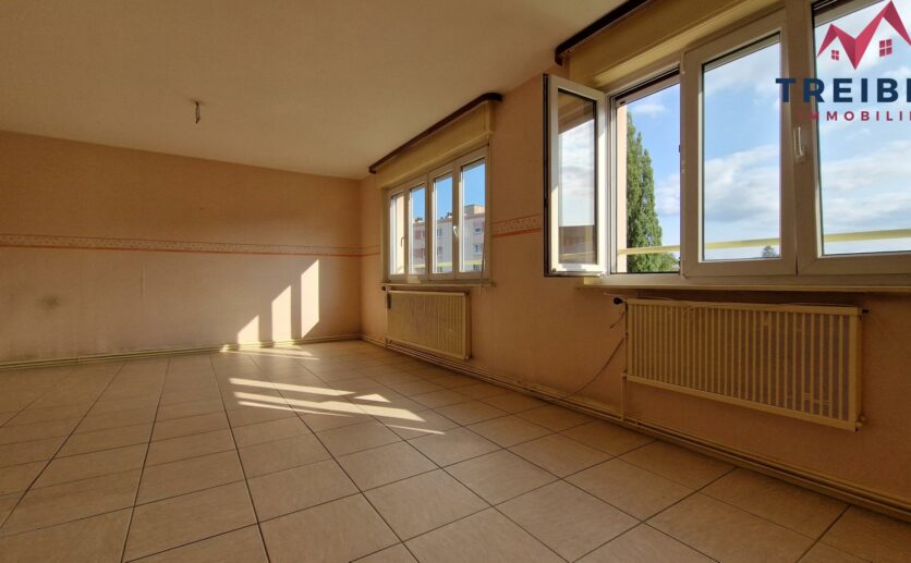 Appartement F3/4 Belfort.