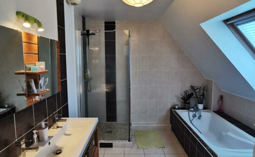 maison Dannemarie dans 68210 avec piscine chauffée sur 728 m2 avec garage au calme