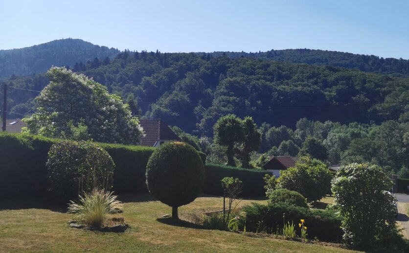 Belfort à 15 minutes, Maison Vescemont (90200)   160 m2 habitables sur 2 483 m2 de terrain sur sous sol et gar