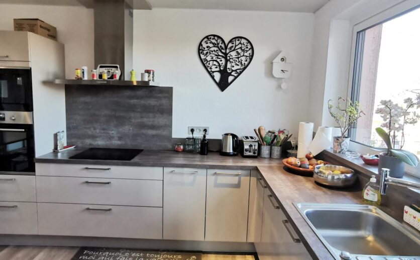 Maison Belfort de standing entièrement rénovée sur sous sol. 1190m2 de terrain avec piscine chauffée.