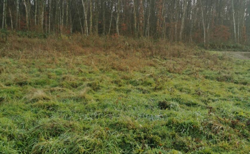 Terrain constructible, viabilisé, de 965 m2 sur Offemont 90